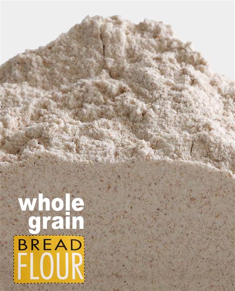 Whole Wheat Bread Flour | ubicaciondepersonas.cdmx.gob.mx