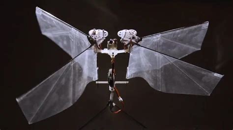 See The Drone That Flaps Its Wings Like An Insect