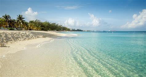 Guide To Grand Cayman Activities From The Residences Grand Cayman Rentals