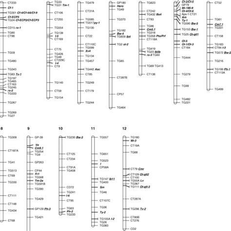 (PDF) Domestication and Breeding of Tomatoes: What have We Gained and ...