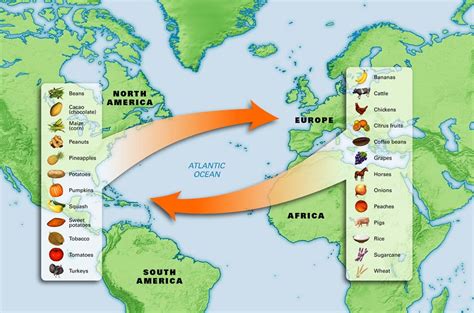 The Columbian Exchange | In The Past Lane