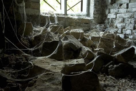 farmhouse full of spider webs- Dammit, where's Hazel? | Scary pictures ...