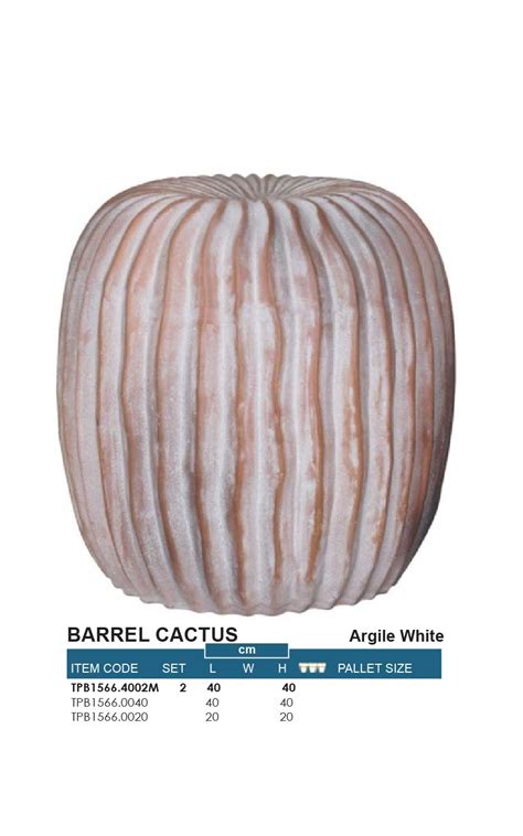 BARREL CACTUS - ROSA PLANTERS VIETNAM CO., LTD