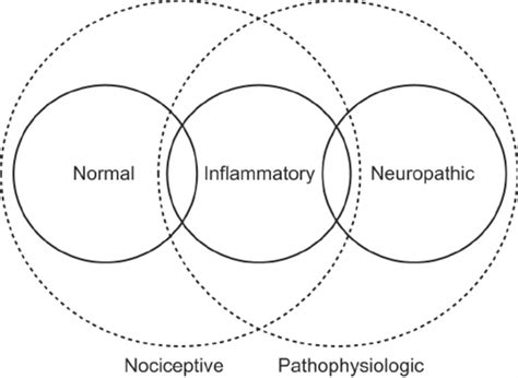 Pain terms. Nociceptive pain can be considered to include normal pain ...