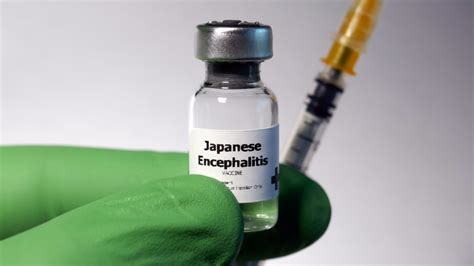 Japanese Encephalitis Vaccine - Burlington Travel Clinic