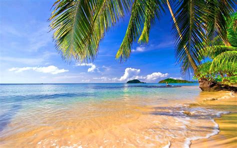 Tropical Beach Wallpapers - Top Free Tropical Beach Backgrounds - WallpaperAccess