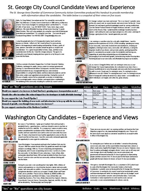 City Council Candidate Flyer General | Taxes | Business