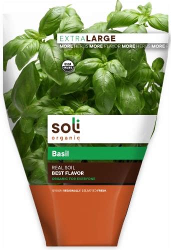 Soli Organic Real Soil Basil, 1 ct - Fry’s Food Stores