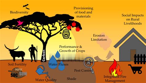 On-and off-site benefits of agroforestry systems (AFS) in the southern ...