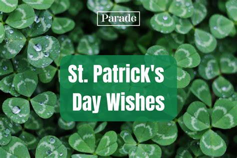 50 St. Patrick's Day Wishes To Toast Your Friends and Family - TrendRadars