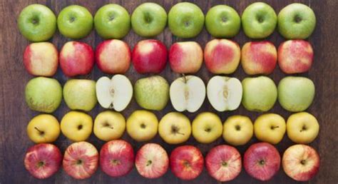 Facts About Apples - Surprising Facts and Interesting History About Apples