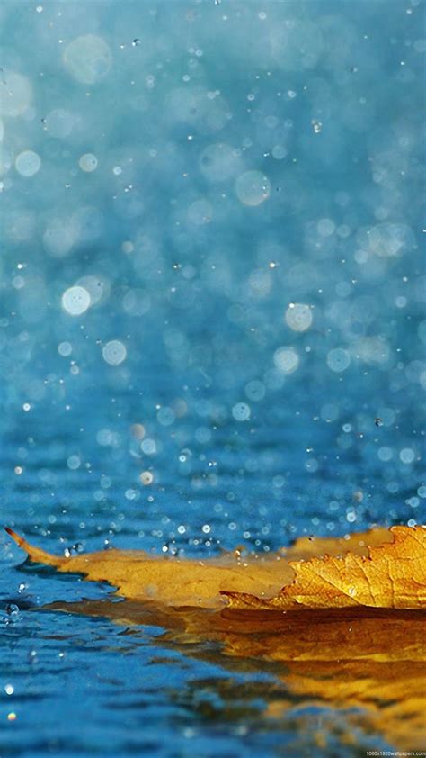 30 Rain Phone Wallpapers - Wallpaperboat