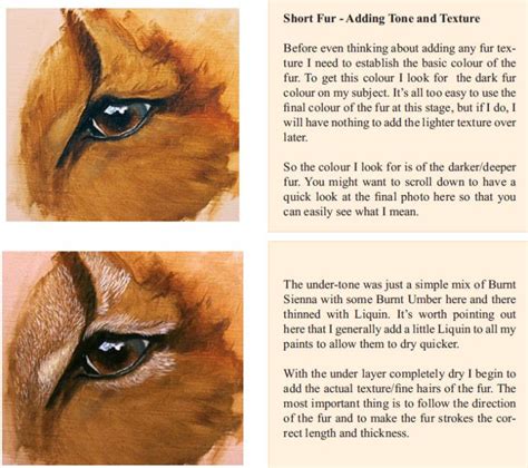 How to Paint Fur – Texture (short fur) | Painting fur, Oil painting tutorial, Art painting