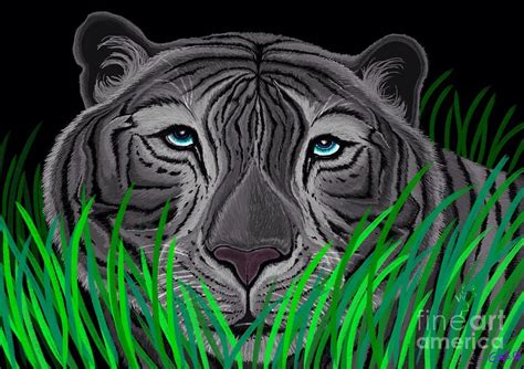 Endangered White Tiger Digital Art by Nick Gustafson