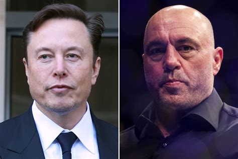 Elon Musk Reacts to Joe Rogan's Comments on Maui Wildfires - Newsweek