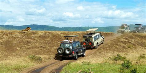 Experience Unforgettable Kenya Safari Tours with Denhum Holidays