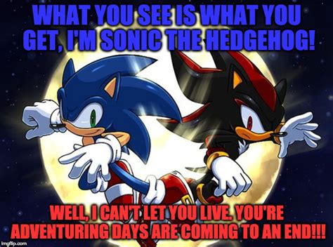 Image tagged in sonic and shadow - Imgflip