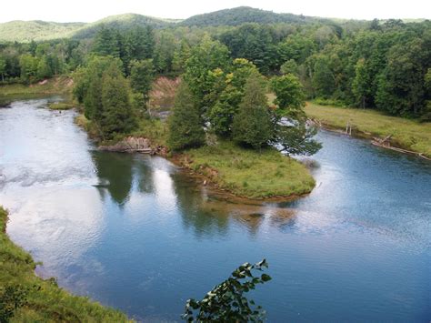 Oxbow - Manistee River | Pure michigan, Manistee river, Travel usa