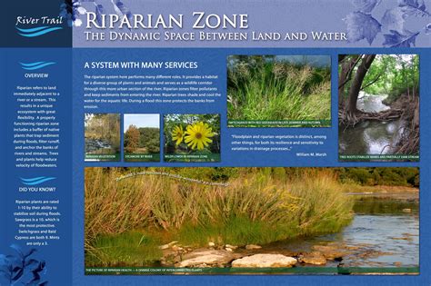 Riparian Zones | Kerrville TX - Official Website