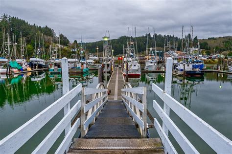 Salmon Harbor Marina - Oregon Coast Visitors Association