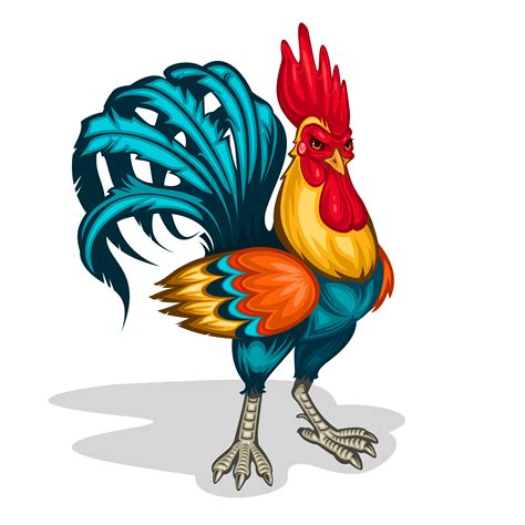 Vector illustration of a rooster - Download Free Vector Art, Stock Graphics & Images