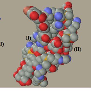 The 3-dimensional structure of humic acid (I) and amine-modified... | Download Scientific Diagram