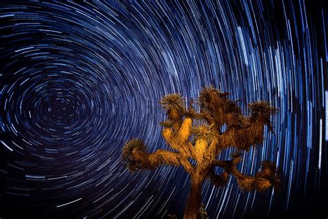 Joshua Tree Star Trails by Mark Andrew Thomas