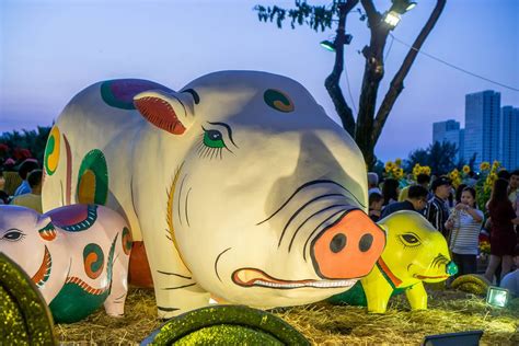 Grumpy Pig Decoration at the Flower Street in Ho Chi Minh City ...