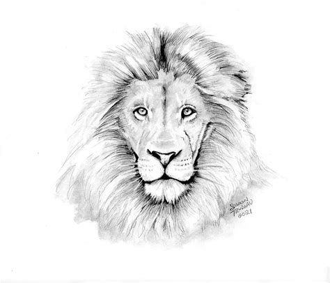 Lion Realistic Drawing-lion King-graphite Pencil-realistic Animal Sketch-original Art-pencil ...