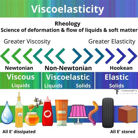 Simplifying Viscoelasticity for Fascia Nerds - TranscendFit