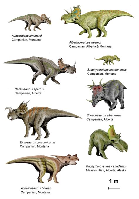 File:CeratopsianII BW.jpg - Wikipedia, the free encyclopedia