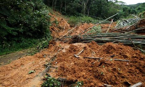 What is a Mudslide and How Are They Caused? - A-Z Animals