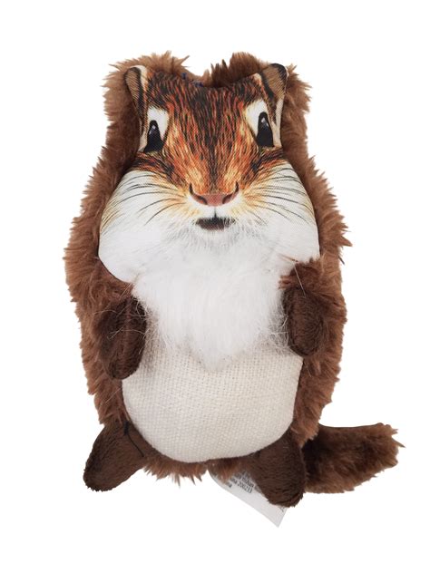 Squirrel Dog Toy With Squeaker | Wow Blog