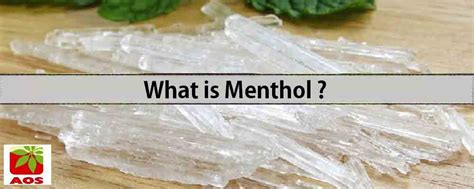 What is Menthol -Uses and Benefits in Cosmetic & Aromatherapy