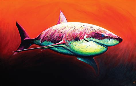 Download Animal Shark Art