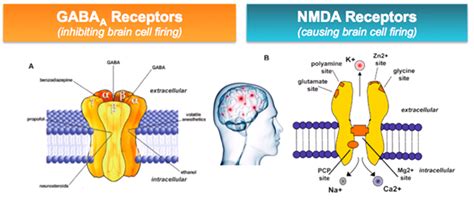 Epiphany: GABA A Receptors in Autism – How and Why to Modulate Them