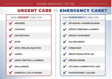 Urgent Care for Pets | Seven Fields Veterinary Hospital