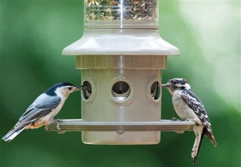 Eliminator Bird Feeder from Wild Birds Unlimited of Paramus