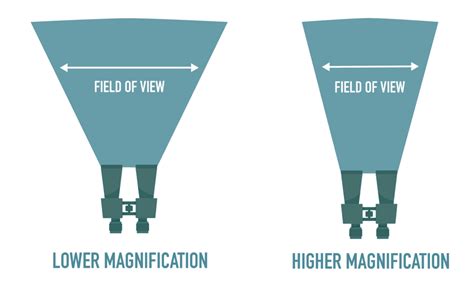 How Do Binoculars Work? Explained (with Pictures) - Optics Mag