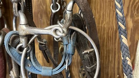 Snaffle Bits 101: The Horse Owner's Guide To Types And Uses