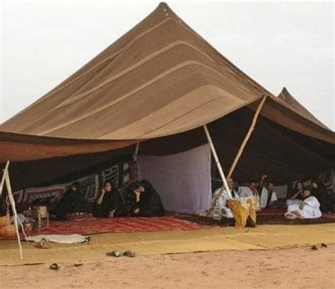 Explore Exquisite Moroccan Tents (Bedouin, Caïdal, & More)