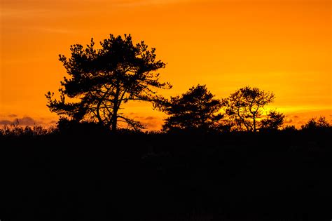 Sunset on Morro Bay, Morro Bay State Park, California | Behance