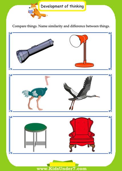 Similarities and Differences Worksheet for 1st - 3rd Grade | Lesson Planet