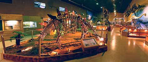 The Wyoming Dinosaur Center - Thermopolis WY | Wyoming, Dinosaur museum