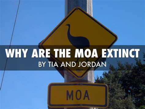 Why Are The Moa Extinct by Room 7