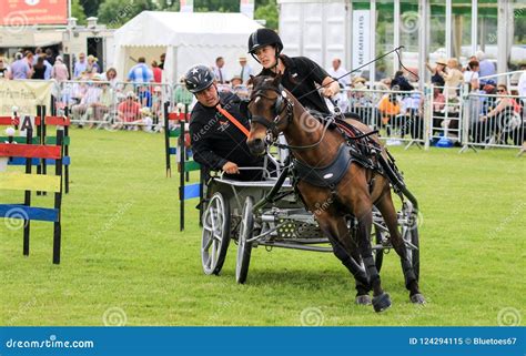 Driving Competition Horse Drawn Carriage Editorial Image - Image of ...