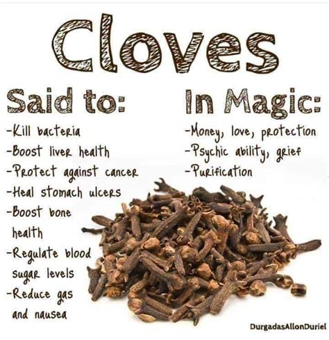 THE IMPORTANCE AND HEALTH BENEFITS OF CLOVES - ThingsCouplesDo