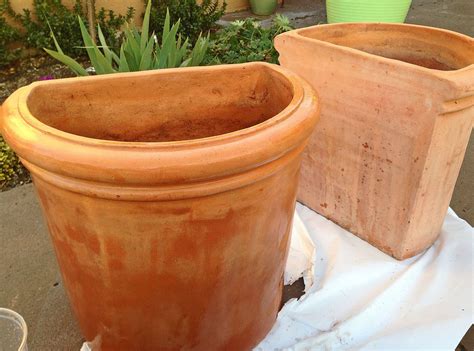 half-round terracotta pots | Terracotta pots, Container gardening ...