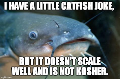 I have a little catfish joke - Imgflip