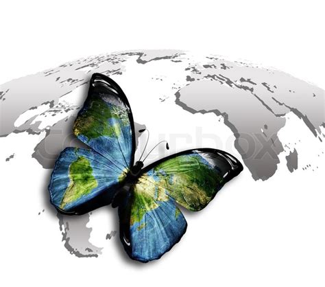 Butterfly with a world map on the wings against the gray map | Stock Photo | Colourbox